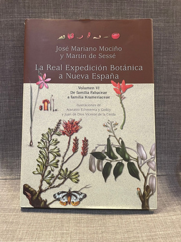 José M. Mociño Expedición Botánica Nueva España 6 (lxmx)