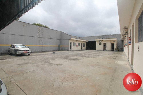 Comercial/industrial - Ref: 222929