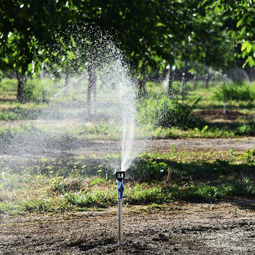 Aspersor Rain Bird Lfx600 Def Azul Bc Cinza Rm1/2 Antep 180