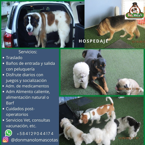 Imagen 3 de 8 de Hospedaje Canino,peluqueria Canino, Felina, Educadora Canina