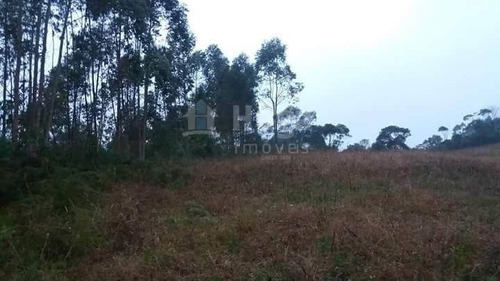 Imagem 3 de 10 de Chácara À Venda Em Vidal Ramos/sc - 1454c