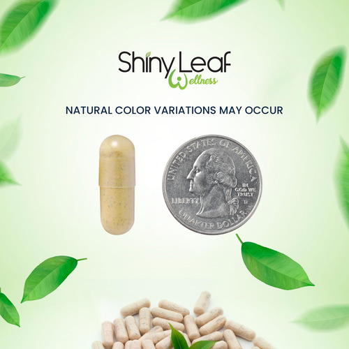 Shiny Leaf Multivitamínico Bariátrico Sin Hierro 90 Cápsulas
