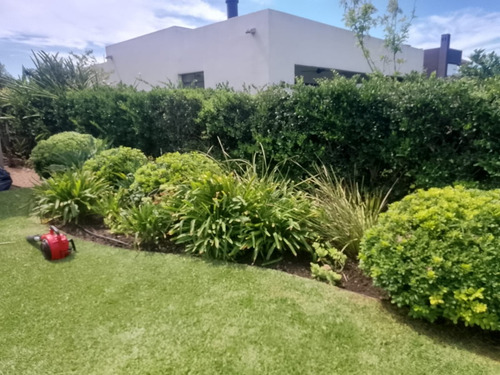 Poda En Altura - Poda De Cercos Y Jardinería En General.