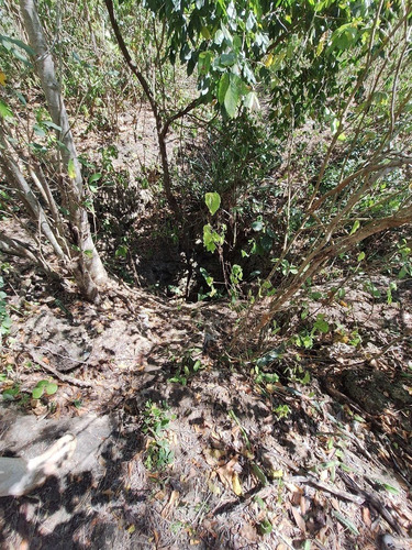 Rancho En Venta Con Cenotes En Excelente Zona Ganadera Del Estado De Yucatán