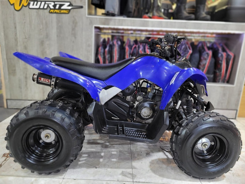 Imagen 2 de 6 de Yamaha Raptor 90 Año 2010 Excelente Estado