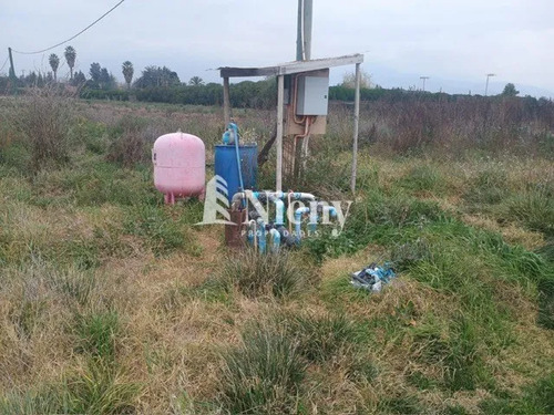 Agrícola En Arriendo En Limache