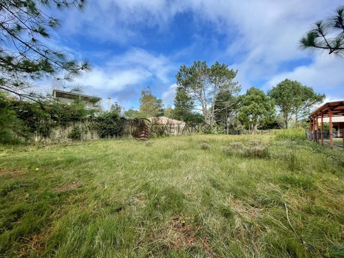 Imagen 3 de 4 de Terreno En Venta - Zona Barra - La Barra