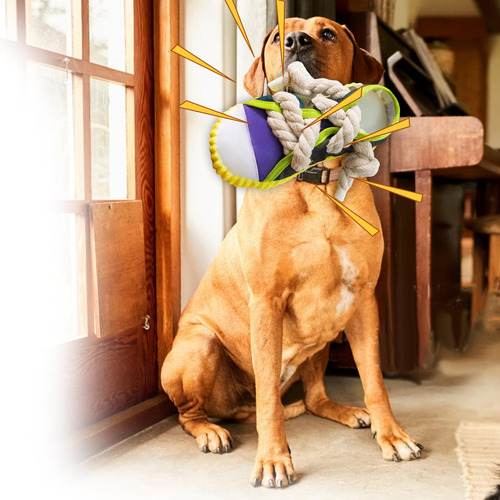 Perro Bite Tug Juguete Squeaky Borde De Zapato Amarillo