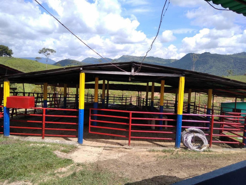 Imagen 17 de 23 de Finca Productivo En Tachira