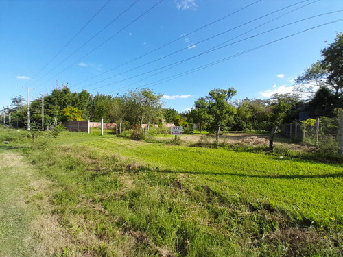 Vendo Importante Terreno En Zona De Quintas De La Ciudad De Esquina°°°°