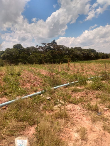 Imagem 5 de 6 de Ag7- Lotes Em Cotia Proximo Ao Centro