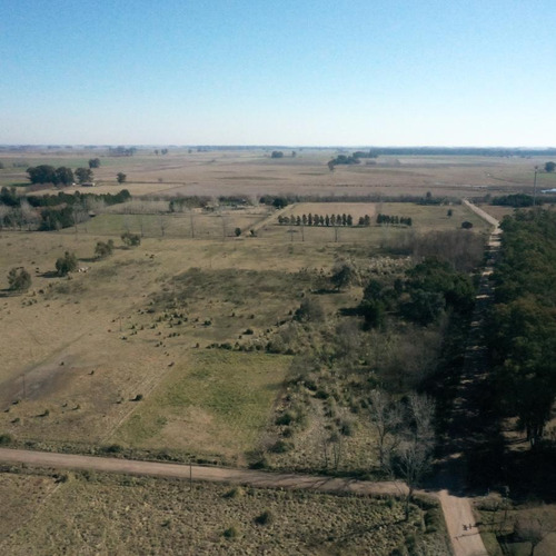 Imagen 13 de 21 de Terreno - Laguna De Lobos