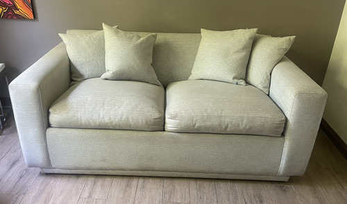Sofá Cama Rosen 2 Cuerpos + Puff Para Los Pies (Usado)