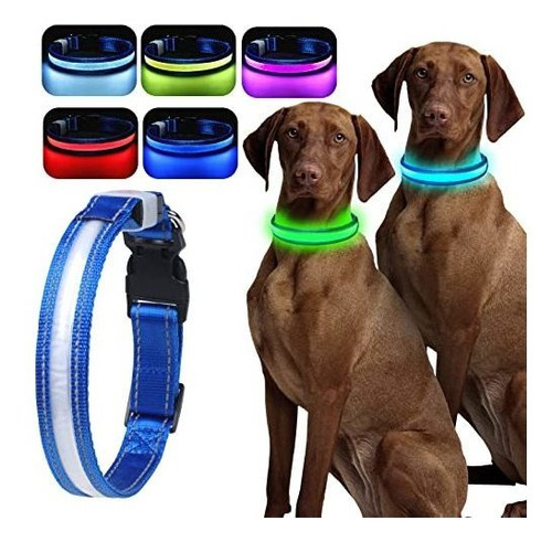 Petbank Led Collar De Perros Light Up - 1.600 Pies De Mgkci