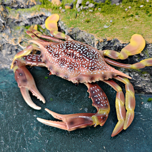 Modelo Simulado De Cangrejo De Animal Marino, Estilo C Para