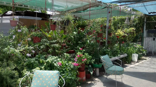 Sitio En Venta En Maipú