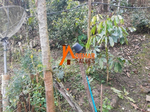 Imagem 29 de 29 de Chácara Em Juquitiba - Ch00111 - 70114757