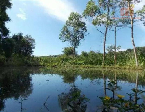 Imagem 4 de 19 de Chácara Com 3 Dormitórios À Venda, 24000 M² Por R$ 1.400.000,00 - Paruru - Ibiúna/sp - Ch0124