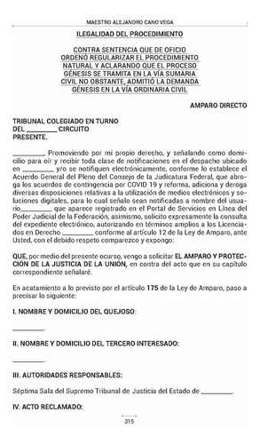 Formularios De Amparo Directo En Materia Familiar. Paternidad, Derecho Al Nombre, Alimentos, Patria Potestad, Guarda Y Custodia, Régimen De Convivencias, Divorcio, Liquidación De Sociedad Y Compensaci