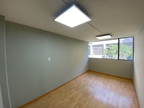 Excelente Oficina De 250 M2 En Prado Norte