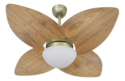 Ventilador Teto Volare Gold Vidro Dunamis Rádica Freijó 110v