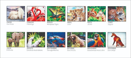 100 Calendarios 2024 Escritorio Personalizados Serie Evn Len