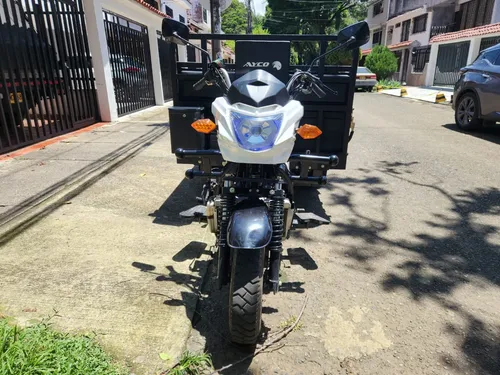 Ayco Ay300 1 Tonelada, Con Gato Para Arena