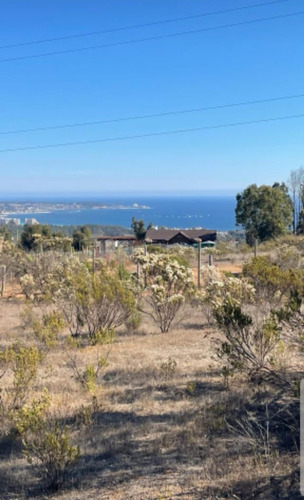 Imagen 4 de 13 de Terreno Con Hermosa Vista A La Bahía Algarrobo
