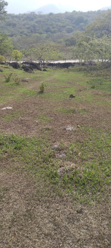 Imagen 15 de 18 de 6 Manzanas En El Zapote San Pedro Pinula Jalapa