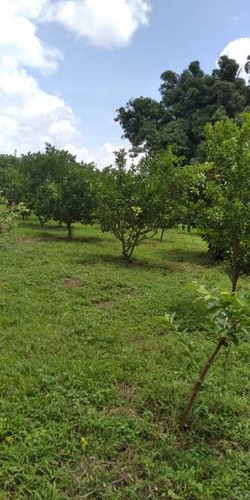 Imagen 11 de 30 de Lotes De Terreno La Esperanza Calabozo Guarico