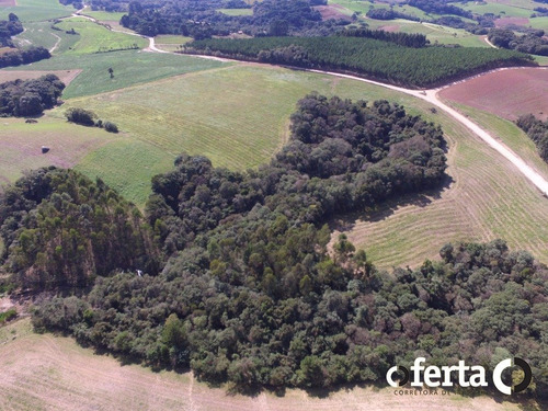 Imagem 9 de 11 de Chacara - Formigueiro - Ref: 71 - V-71