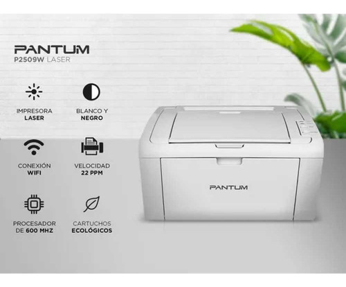 Promo Impresora Pantum P2509w Con Wifi + 3 Toners Global Alt Blanco
