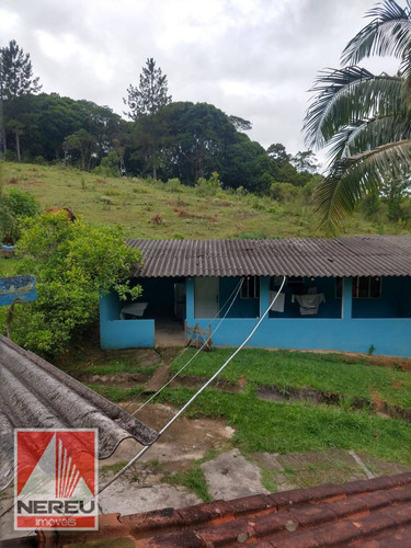 Imagem 15 de 15 de Chácara Com Pasto - 929