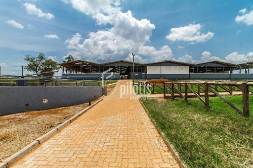 Imagem 14 de 15 de Sitio - Outros - Ref: 699 - V-p895