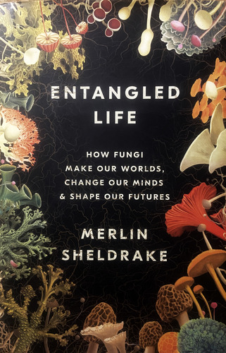 Entangled Life Merlin Sheldrake How Fungi Make Our Worlds (Reacondicionado)