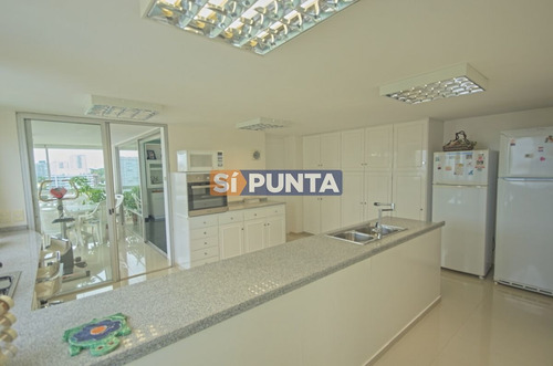 Imagen 5 de 30 de Apartamento En Venta - Brava