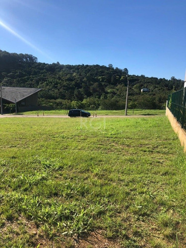 Terreno Em Vila Nova - El56353981