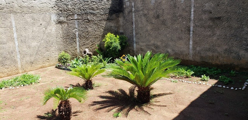 Casa - Paqueta - Ref: 4047 - V-4047