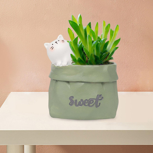 Maceta, Maceta De Resina, Mini Maceta Para Bonsái De Planta