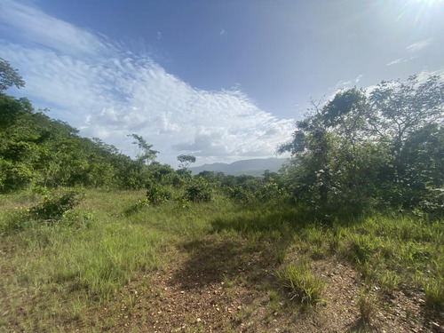 Finca De 35500 Mts Dentro Del Solar En Venta, Guataparo