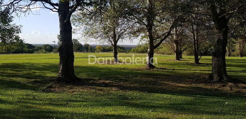 Imagen 19 de 30 de Terreno Campo En Venta O Permuta Ubicado En Baradero, Resto De La Provincia, Buenos Aires