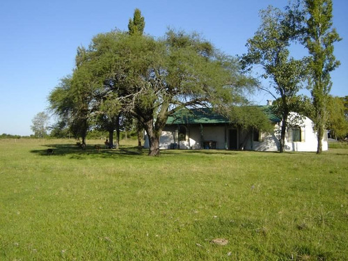Imagen 4 de 19 de Campo En Venta, Villaguay, Entre Ríos