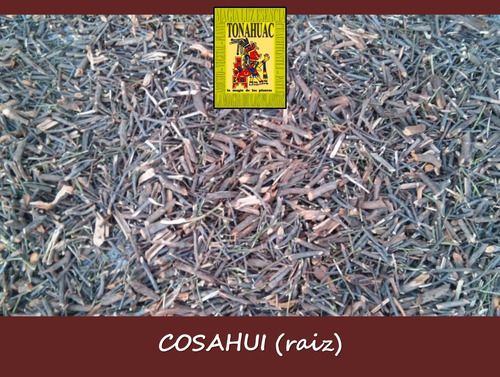 Choya + Bachata + Cosahui + Tepehuaje + Toji Env Gratis