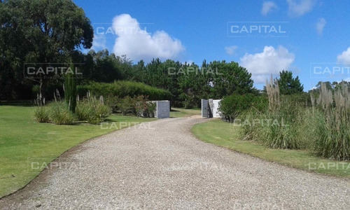 Imagen 17 de 30 de Chacra Con Casa En Venta Mangrullos De Punta Piedra- Ref: 27705
