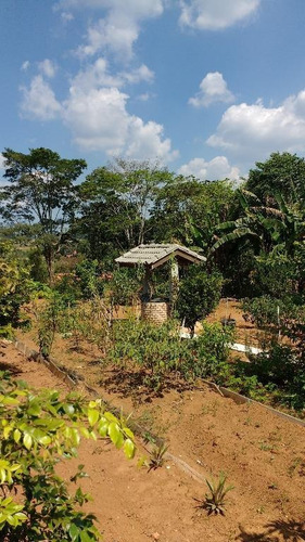 Chácara Residencial À Venda, Jardim Nova Ipelândia, Suzano - Ch0029. - Ch0029