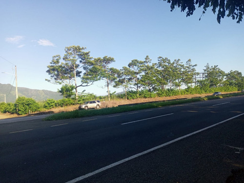 Vendo Finca De Oportunidad En Los Mogotes En El Km 60, Villa Altagracia, En La Misma Autopista Duarte, República Dominicana