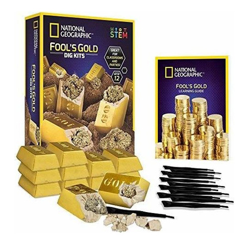 National Geographic Fool's Gold Dig Kit - 12 Ladrillos De Ex