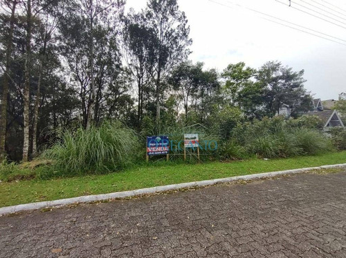 Imagem 2 de 3 de Terreno À Venda, 600 M² Por R$ 375.000,00 - Vale Das Colinas - Gramado/rs - Te0834
