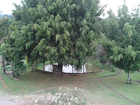 Rural - Venda - Vila Pires - Cod. 587 - V587