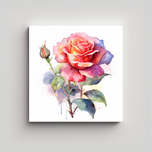 Rosa Acuarela Artística En Lienzo 40x40cm Bastidor Madera